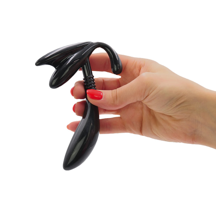 Prostate Probe