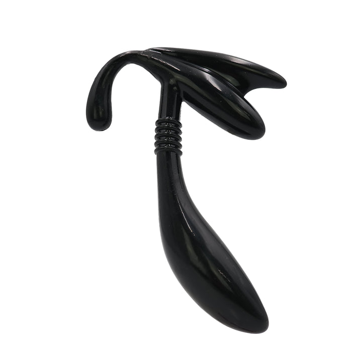 Prostate Probe