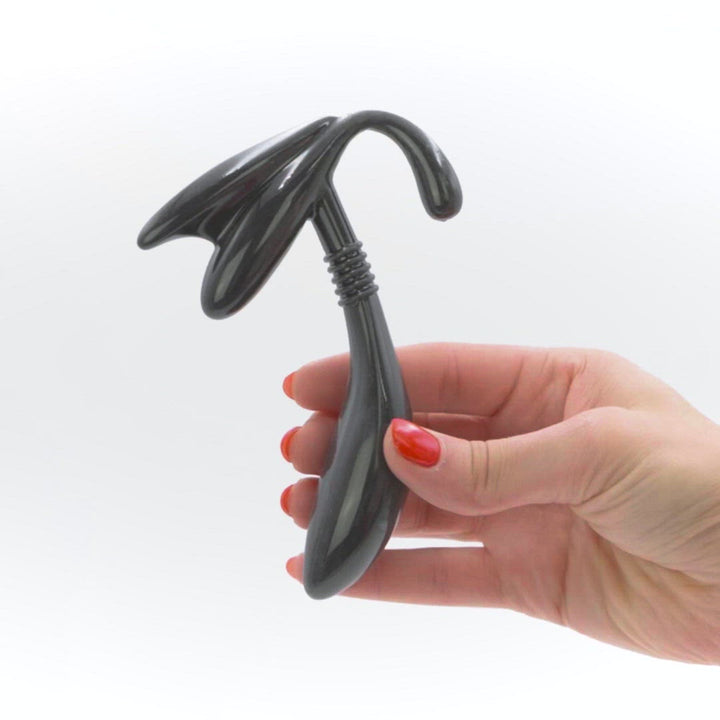 Prostate Probe